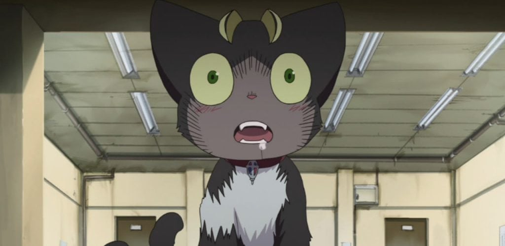 12 Best Anime Cats of All Time The Cinemaholic