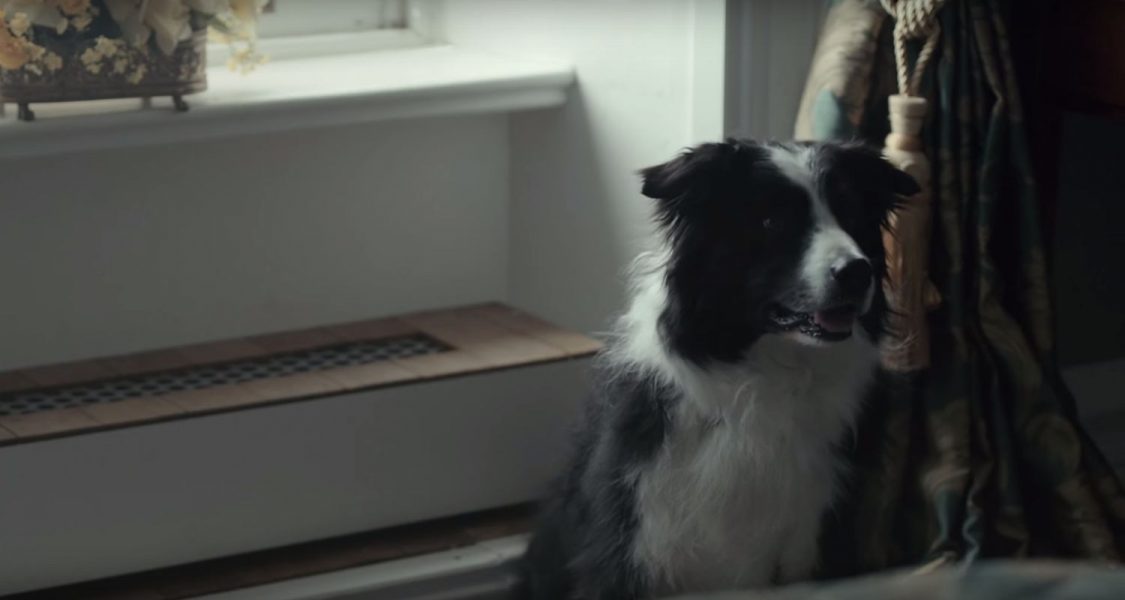 The Lobster Movie Plot Ending, Explained The Cinemaholic