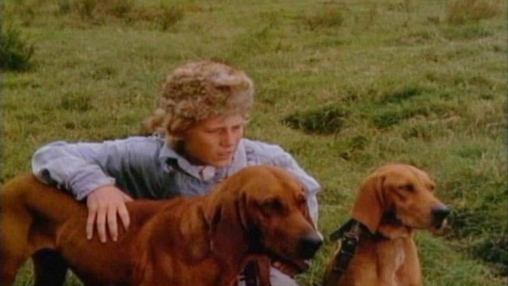 20 Best Amazon Prime Kids Movies (2020, 2019) Cinemaholic