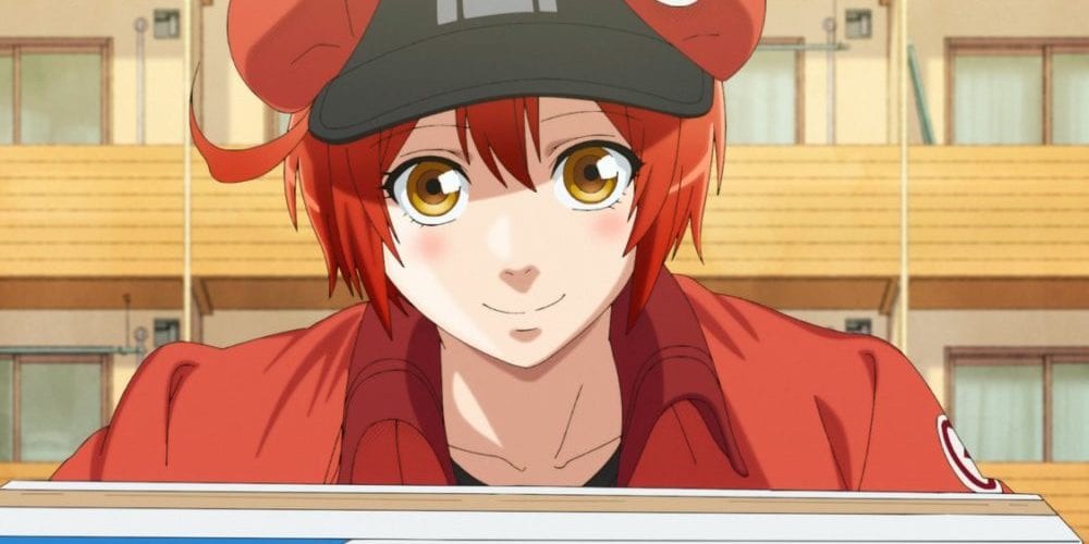 Cells At Work Season 2 Release Date Characters English Dubbed