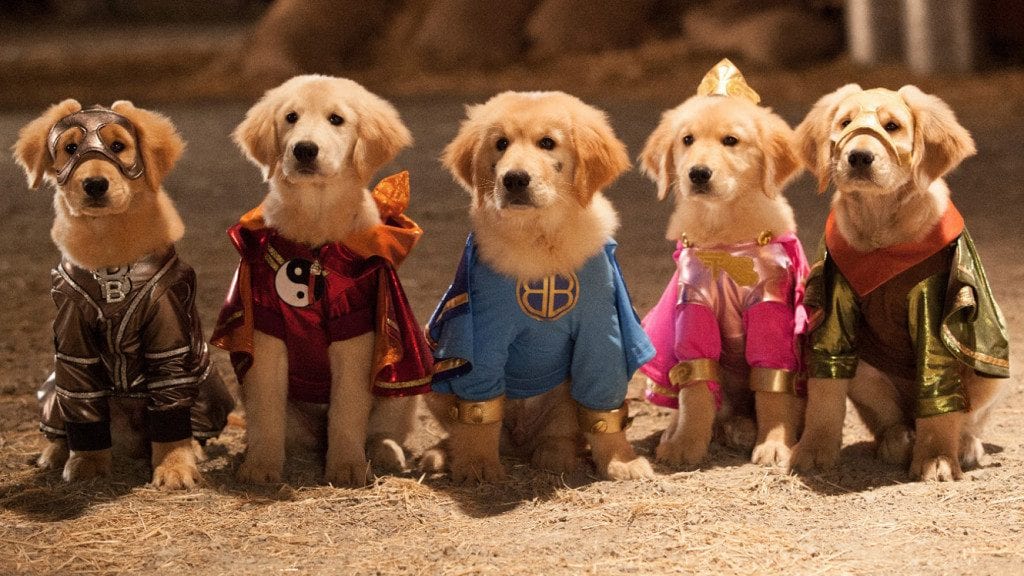 15 Best Dog Movies on Netflix (2019, 2020) Cinemaholic