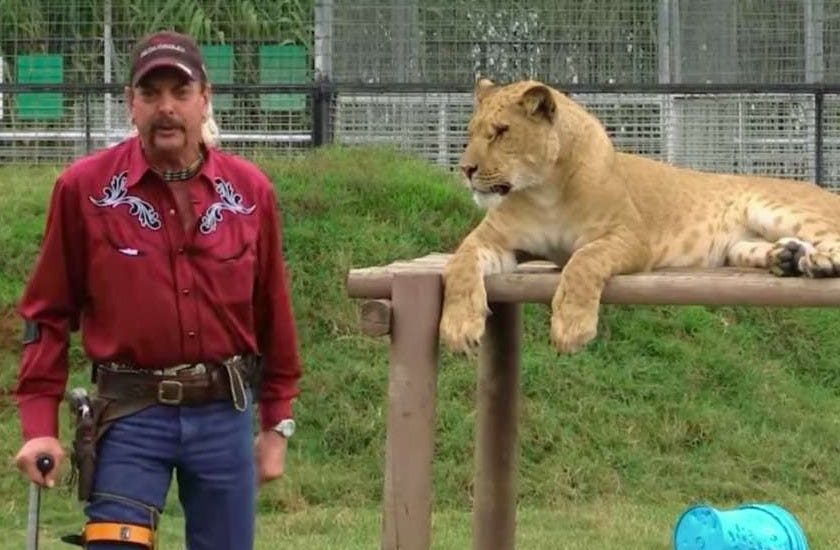 Tiger King's Zoo Closed or Open Why Did the Joe Exotic's Zoo Close?