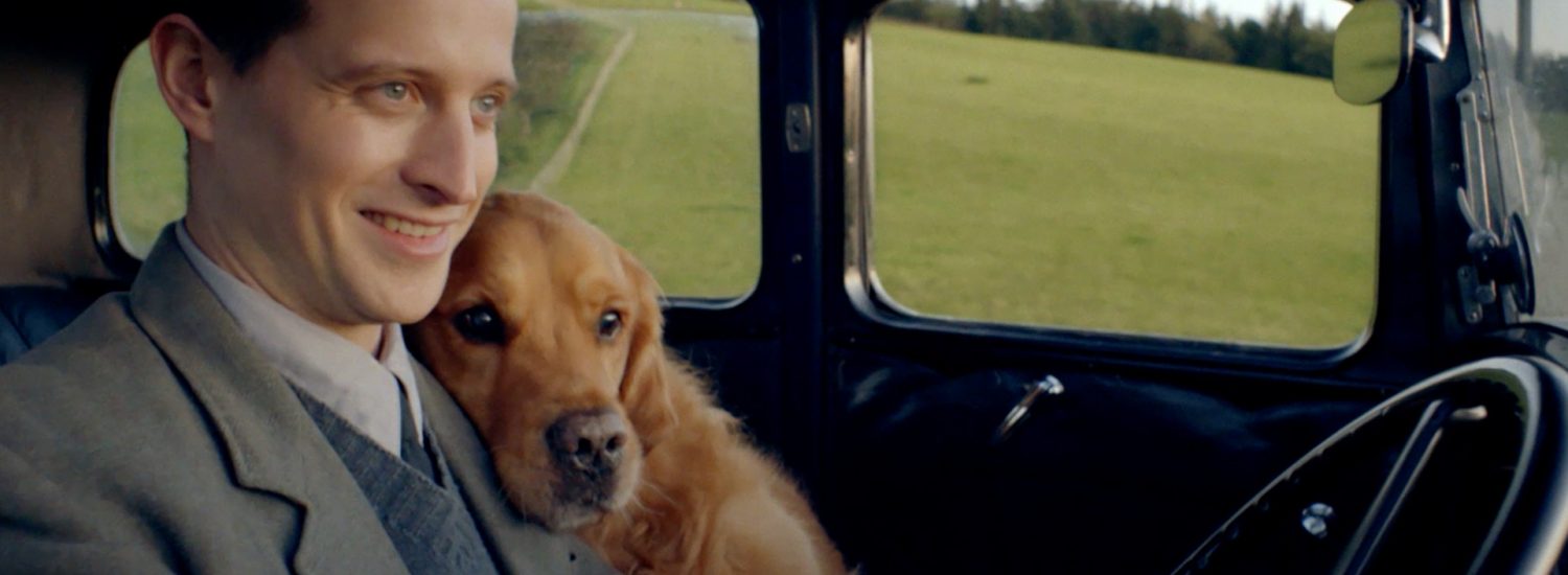 All Creatures Great and Small Season 2: Release Date, Cast, When Will - All Creatures Great And Small 2020 Season 2 Release Date