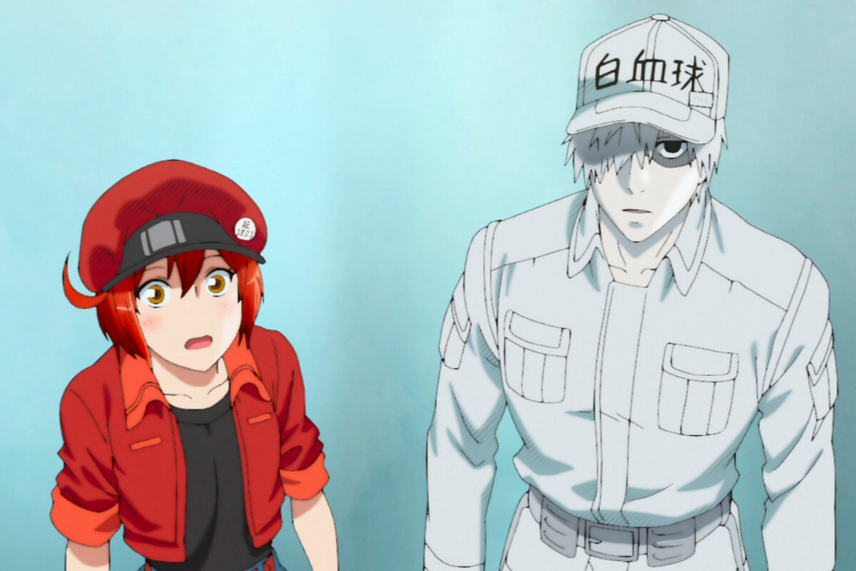 white blood cell from cells at work